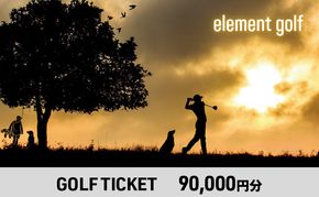 【90,000円分】 elementgolf ゴルフチケット (ゴルフクラブ作成、修理・調整、フィッティング) エレメントゴルフ × 名古屋外国語大学コラボデザインチケット ゴルフ ゴルフクラブ 愛知 日進市
