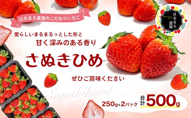 いちご はなまる農園 こだわりいちご さぬきひめ 500g 香川県産 苺 イチゴ フルーツ 果物 くだもの 旬のフルーツ 旬の果物 香川 香川県 東かがわ市