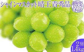 2026年予約受付中 シャインマスカット晴王 7月～8月出荷 2房 約1.4kg  人気 岡山県産 種無し 皮ごと食べる みずみずしい  フレッシュ 晴れの国 おかやま 果物大国 ハレノフルーツ