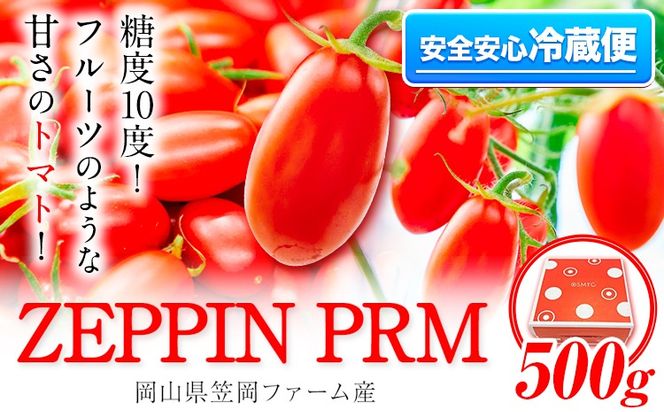 トマト フルーツトマト ZEPPIN PRM(プレミアム) 500g《120日以内に出荷予定(土日祝除く)》 高濃度 株式会社ジェイ・イー・ティ・アグリ 甘い うまみ とまと ミニトマト 野菜 岡山県 笠岡市---A-187a---