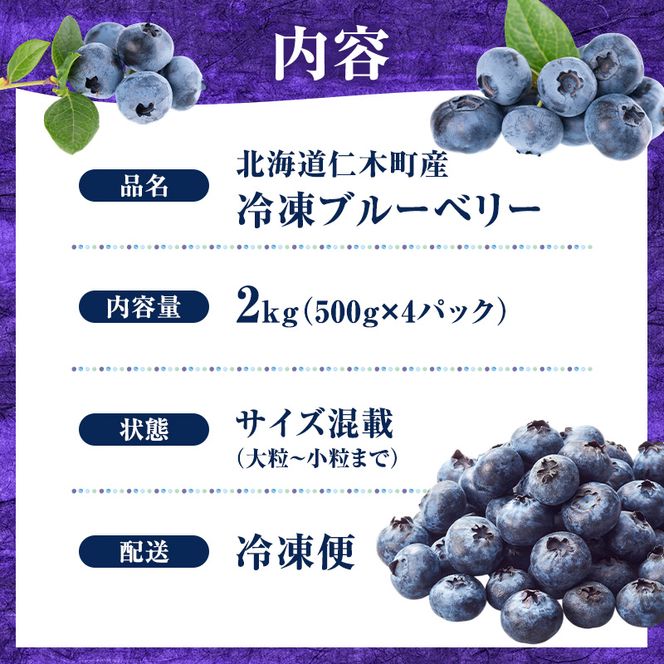 先行予約【朝採り】当日冷凍「北海道ニキブルーベリー」2kg（500g×4）サイズ混載 果物 くだもの 冷凍 フルーツ ブルーベリー 北海道 仁木［ぜにたに農園］