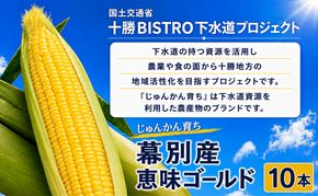 2026年発送先行予約 北海道 十勝 幕別産 とうもろこし 恵味ゴールド 10本「じゅんかん育ち」北王農林［十勝BISTRO下水道プロジェクト］【 とうもろこし とうきび コーン 野菜 フルーツ 甘い 】