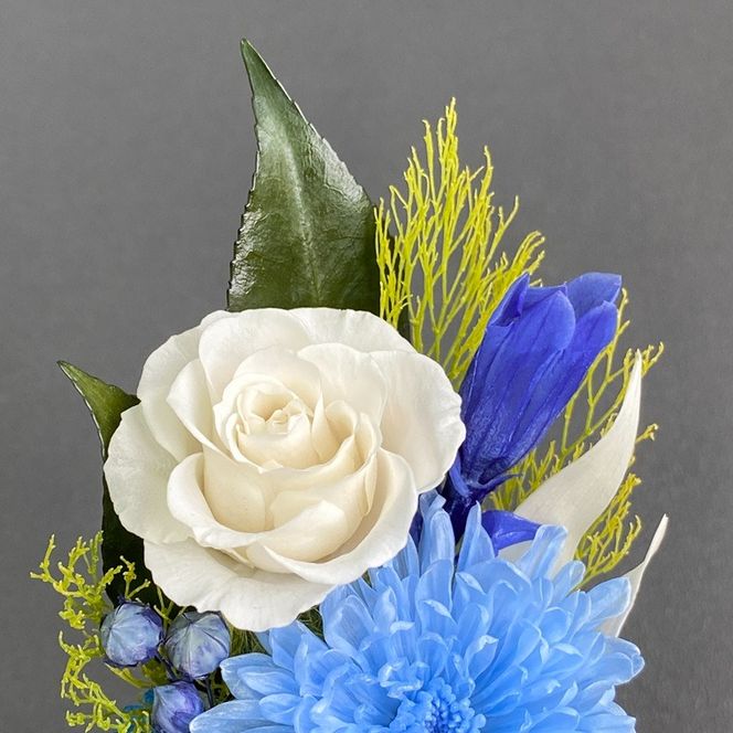 プリザーブドフラワー　藍（らん）　春日部市　シュガーパイン(AJ240)