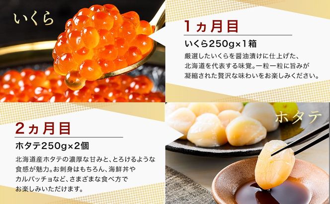 釧路町こだわりの海鮮 定期便（全12回） ｜ いくら イクラ 醤油漬け 小分け ほたて ホタテ 刺身 鮭 さけ サケ 手ほぐし 銀だら 紅鮭 切身 冷凍 定期便 定期 北海道 釧路町 釧路超 特産品
