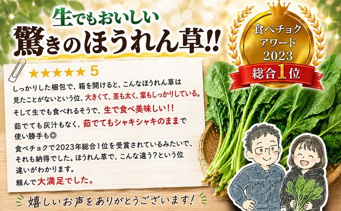 【定期便6回】ほうれん草 約1kg(150g×7袋) 合計約6kg【ハウス栽培 産地直送 クール便 新鮮発送 栄養豊富 佐賀県脊振山麓産 ほうれん草 ホウレンソウ 野菜 葉物 こだわり野菜 個包装 小分け 冷蔵 子供 成長 離乳食】(H091120)
