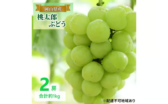 先行予約 晴れの国 岡山のフルーツ 定期便 3回コース 1回目 岡山 白桃6玉 合計約1.2kg／2回目 桃太郎ぶどう２房 合計約1kg／シャインマスカット 2房 合計約1kg