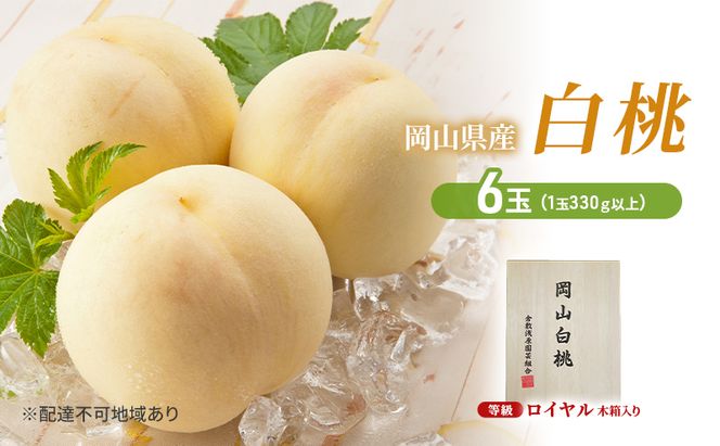 桃 2026年 先行予約 白桃 6玉（1玉330ｇ以上）等級：ロイヤル 木箱入り もも モモ 岡山県産 国産 フルーツ 果物 セット ギフト 