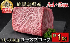 ロースブロック 計1kg(500g×2P) e5-002