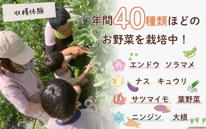 農園はなうた 農園デイキャンプ（収穫体験付き） 5名様まで hnut0002