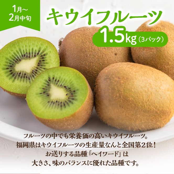 【定期便/年4回】ＪＡむなかた厳選！人気のフルーツ定期便【ほたるの里】_HB0140