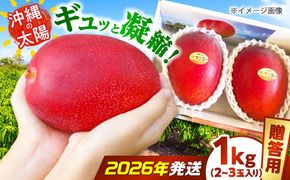 【2027年発送 先行予約】【贈答用】沖縄市産マンゴー「太陽のめぐみ」 1kg(2〜3玉) (化粧箱入り) 南国フルーツ 産地直送 新鮮 沖縄県産 ギフト 沖縄市 / 比嘉マンゴー園[BCEW001]