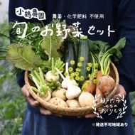 小鶴農園 季節のお野菜7～9品目セット（農薬・化学肥料不使用）【配達不可：北海道・沖縄・離島】 詰合せ 