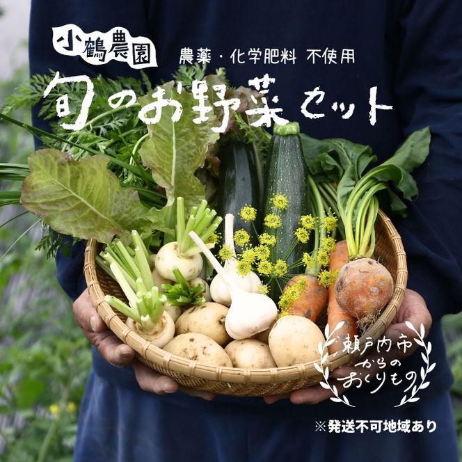 小鶴農園 季節のお野菜7～9品目セット（農薬・化学肥料不使用）【配達不可：北海道・沖縄・離島】 詰合せ 