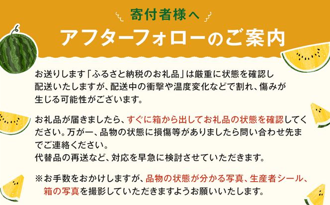 【先行予約】鳥取県北栄町産 金色羅皇スイカ(2玉セット)１玉あたり7-9キロ前後（こちらの返礼品は、大栄西瓜ではありません） 313726_CK010