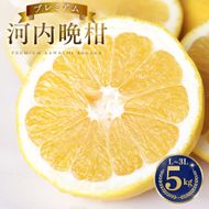【先行予約】 プレミアム 河内晩柑 5kg L から 3L 優品 贈答用 樹齢 20年 以上 古木 厳選 大玉 果実 特選 直送 和製 グレープフルーツ 愛南ゴールド フルーツ 人気 柑橘 爽やか 甘み ジューシー 果汁 旬の果物 くだもの みかん 産地直送 農園直送 春 味覚 初夏 デザート ジュース おすすめ 生搾り デザート ゼリー 愛媛県 愛南町 清家ばんかんビレッジ