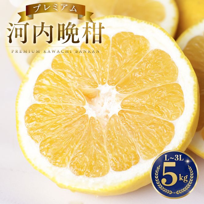 【先行予約】 プレミアム 河内晩柑 5kg L から 3L 優品 贈答用 樹齢 20年 以上 古木 厳選 大玉 果実 特選 直送 和製 グレープフルーツ 愛南ゴールド フルーツ 人気 柑橘 爽やか 甘み ジューシー 果汁 旬の果物 くだもの みかん 産地直送 農園直送 春 味覚 初夏 デザート ジュース おすすめ 生搾り デザート ゼリー 愛媛県 愛南町 清家ばんかんビレッジ
