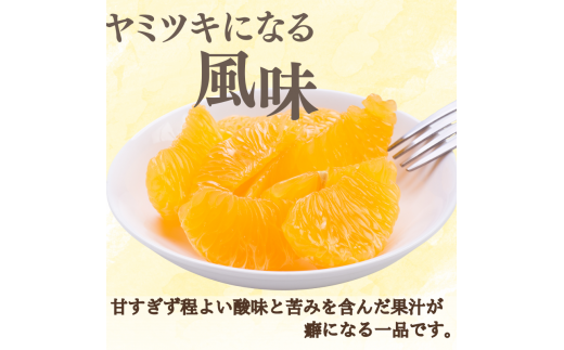  新鮮！はじける食感！「きみのハッサク」5kg サイズ L~2L ご家庭用(秀優混合) /八朔 柑橘 和歌山県 手選別 紀美野町産【kmf021-c-5】