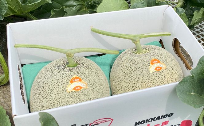 【2026年7月上旬～発送】ふらの 赤肉 メロン 2玉 計4kg以上 北海道 富良野市（高見農園）メロン フルーツ 果物 新鮮 甘い 贈り物 ギフト 道産 ジューシー おやつ ふらの ブランド 夏 