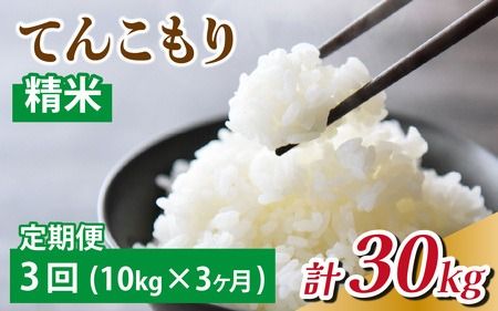 【3ヶ月定期便】富山県滑川産「てんこもり」与文のお米  （精米10kg）×3回 計30kg 産地直送 袋 10kg 30kg  おにぎり お米 精米 国産 ご飯 ごはん 富山県 滑川市 アグリめぐみ  F-050002