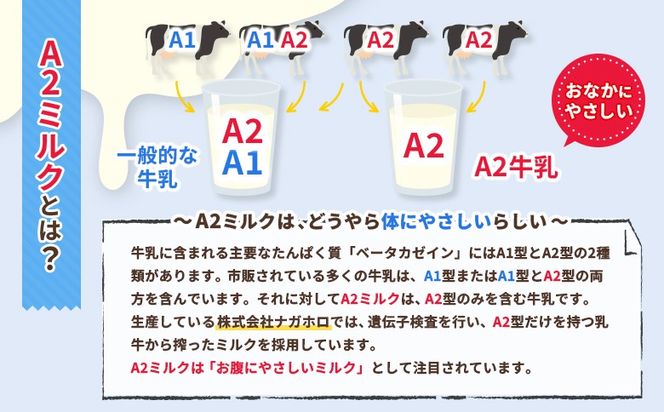 なかしべつ珈琲・プレミアム 各種３本計６本セット【14063】