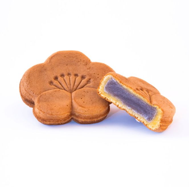 焼き 饅頭 「うめうさ」10個入り もっちり生地と上品なこしあんの和菓子 有田銘菓【梅義】(A1201-1)