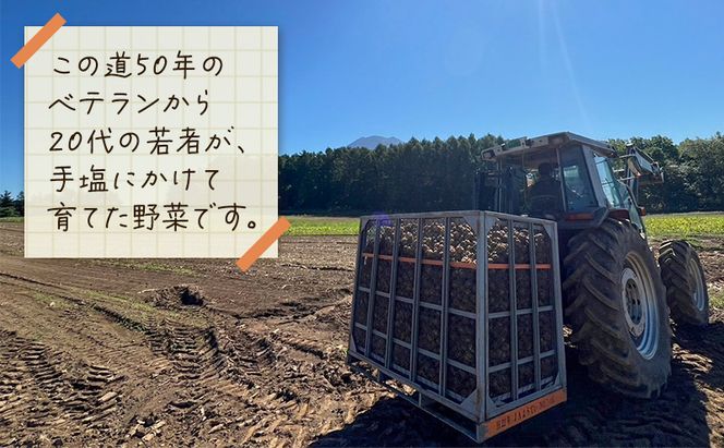 北海道 倶知安 じゃがいも とうや 5kg リストファーム サイズ 混合 馬鈴薯 芋 ポテト イモ 産地直送 野菜