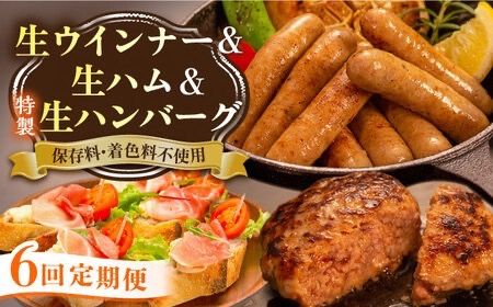 【全6回定期便】特製 生ハンバーグ 生ハム 生ウインナー 3種 セット 糸島市 / 志摩スモークハウス 肉 加工品 [AOA030]