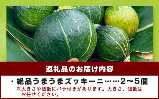 希少！「絶品うまうまズッキーニ」サイズ色々 2～5個 農薬を使わず、特許製法のシリカ水で栽培する特別な野菜 11月～3月順次発送【 沖縄県石垣市 希少 丸ズッキーニ だるまズッキーニ 野菜 採れたて 離島のいいもの 沖縄いいもの石垣島 】OI-12