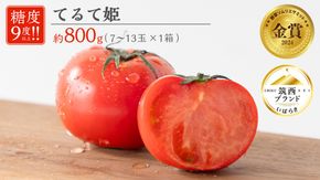 てるて姫 小箱 約800g × 1箱 【7~13玉/1箱】 2026年産 てるてひめ 糖度9度 以上 スーパーフルーツトマト 野菜 フルーツトマト フルーツ トマト とまと [AF070ci]