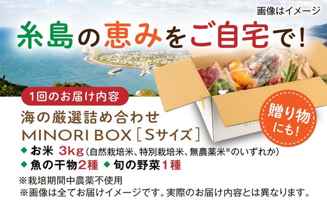 【全6回定期便】糸島産 魚 米 野菜 果物 厳選詰め合わせ MINORI BOX Sサイズ 糸島市 / emma.Inc / 米 魚 野菜 詰め合わせ[AOP021]