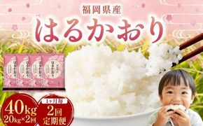 【1ヶ月毎2回定期便】 はるかおり 20kg 計40kg ／ 米 コメ お米 ライス ご飯 ごはん 飯 食品 精米 定期便 常温 福岡県 香春町