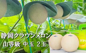 クラウンメロン【上（山等級）】中玉（1.3kg前後）2玉入り人気 厳選 ギフト 贈り物 デザート グルメ 果物 袋井市 果物類 メロン青肉 フルーツ