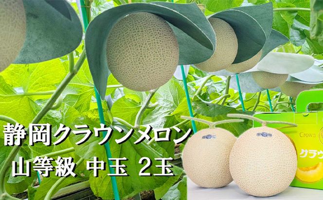 クラウンメロン【上（山等級）】中玉（1.3kg前後）2玉入り人気 厳選 ギフト 贈り物 デザート グルメ 果物 袋井市 果物類 メロン青肉 フルーツ