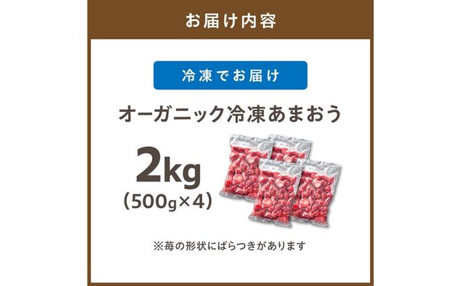 オーガニック冷凍あまおう 「いせいちご」 2kg (500g×4パック)【伊世いちご畑】_HA1316