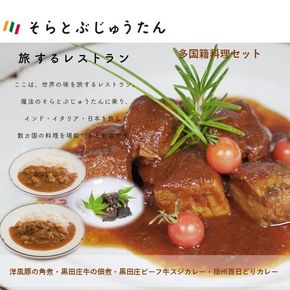 【多国籍料理４種セット】～黒田庄ビーフ牛スジカレー/播州百日どりカレー/黒田庄和牛の佃煮/洋風豚の角煮～　20-60