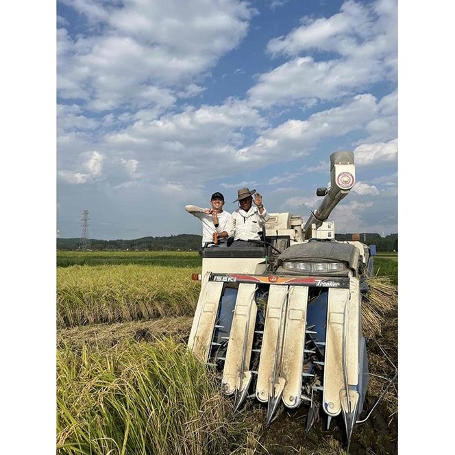 令和7年度産　栃木県産にじのきらめき 精米5kg　栃木県共通返礼品｜米 コメ 地域おこし協力隊