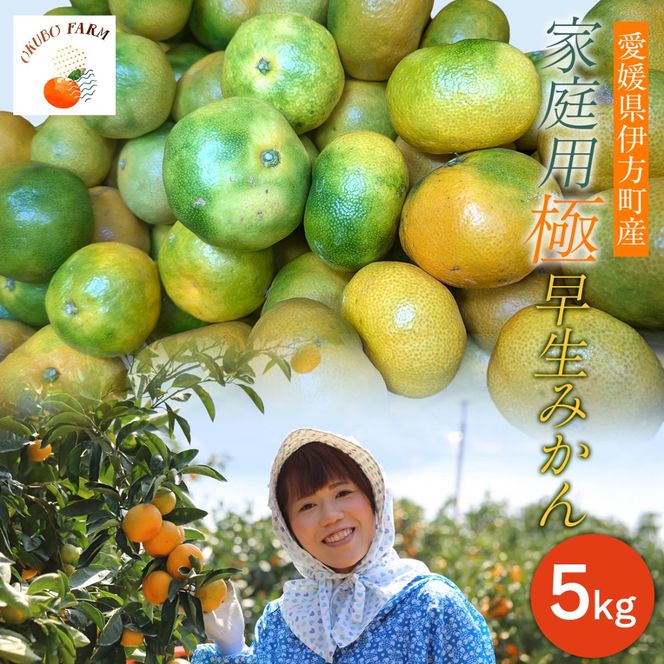 【先行予約】家庭用　極早生みかん５㎏ IKTAT015