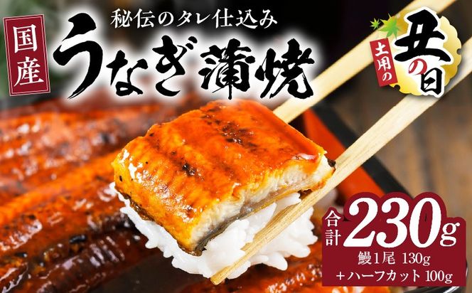 kgp0040-1d 【土用の丑の日までにお届け】国産うなぎ 合計230g【鰻1尾 130g+ハーフカット 100g 訳あり 規格外 ウナギ 無頭 炭火焼き 備長炭 手焼き レンジ 温めるだけ 簡単調理】