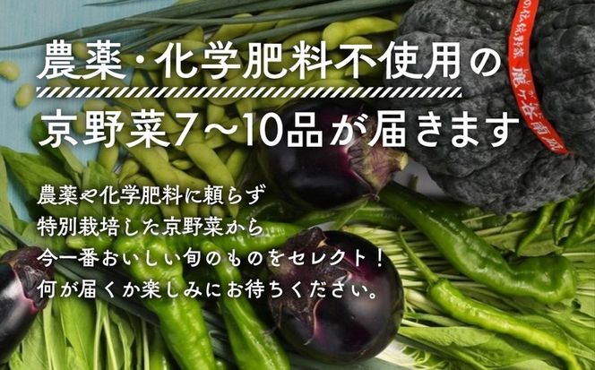 【4回定期便】＜アスカ有機農園＞旬の京野菜セットS＊毎月お届け全4回≪定期便 セット ふるさと納税野菜≫