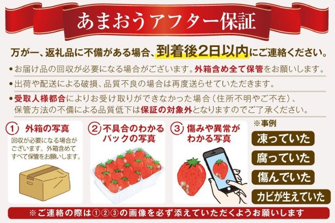 いちご あまおう プレミアムEX 400g 1パック 化粧箱入り 【2027年発送】 [THE FARM_strawberry 福岡県 宇美町 um40azo780014] 苺 イチゴ 甘い あまい フルーツ 果物 果実