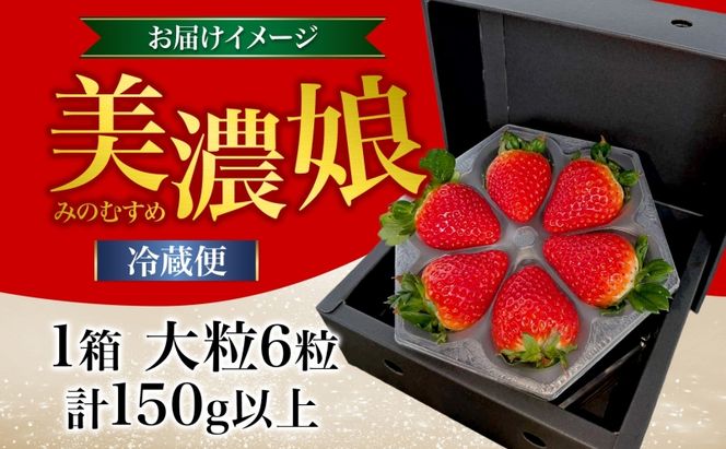いちご 美濃娘 6粒 150g以上 苺 イチゴ フルーツ 旬 甘い 果物 みのむすめ 国産 おやつ デザート ギフト プレゼント ダイヤベリー美濃 岐阜県 美濃市 お届け:2027年1月1日～3月10日
