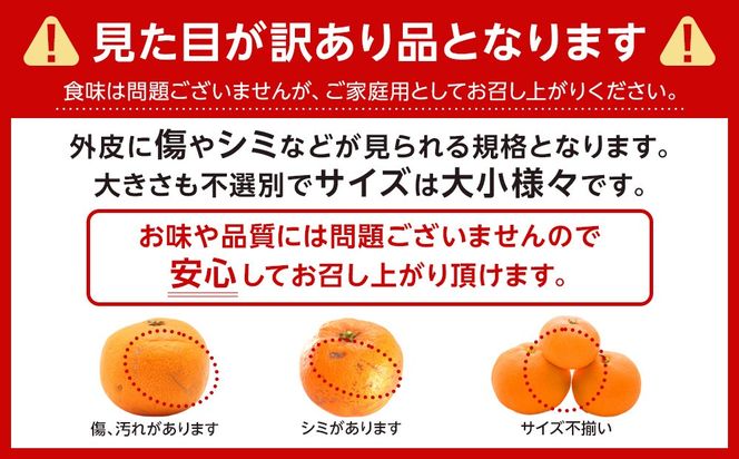 ［先行予約］ご家庭用 極早生 有田みかん 約2kg 2S～Lサイズ混合  	FB01