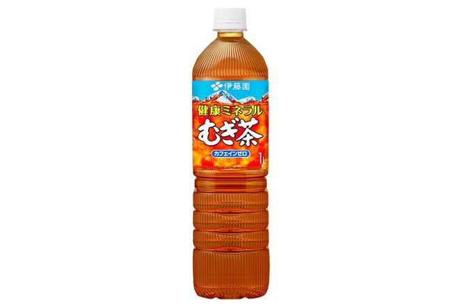 健康ミネラルむぎ茶 伊藤園 ＜1L×12本＞【1ケース】1回のみ [ふるさと納税 お茶 麦茶 ペットボトル 国産 伊藤園]|10_itn-351201