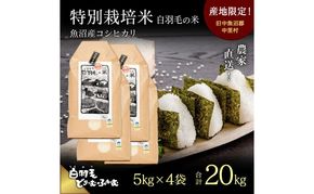 【通年受付】≪令和8年産≫ 農家直送！魚沼産コシヒカリ特別栽培「白羽毛の米」精米(5kg×4袋) 20kg お米 白米