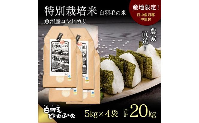 【通年受付】≪令和8年産≫ 農家直送！魚沼産コシヒカリ特別栽培「白羽毛の米」精米(5kg×4袋) 20kg お米 白米