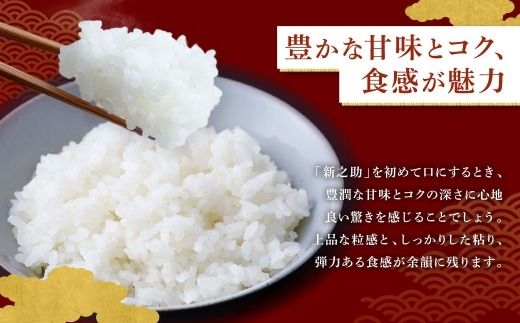 【新米受付・令和8年産米】新潟県村上市岩船産 新之助6kg（2kg×3袋）1099003N