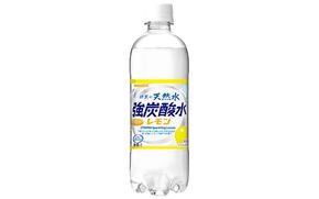 強炭酸水【レモン】サンガリア 伊賀の天然水　 強炭酸水レモン2ケース（500ml×48本） 【igge0004】