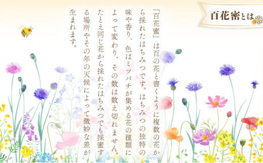 蜂蜜一筋81年 上峰の熊手蜂蜜 九州産｢百花蜜｣  800g×2本  E-231
