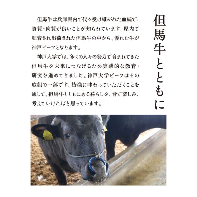 神戸牛 神戸大学ビーフ 希少部位 ステーキ用 お試し 300g カイノミ ササニク 神戸ビーフ 牛肉 お肉 肉 アウトドア キャンプ BBQ ブランド牛 但馬牛