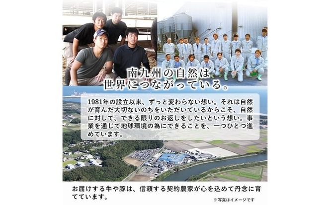 鹿児島県産黒毛和牛肩ロース焼肉用 (計600g・300g×2P) a4-114